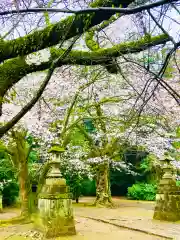 日先神社の自然