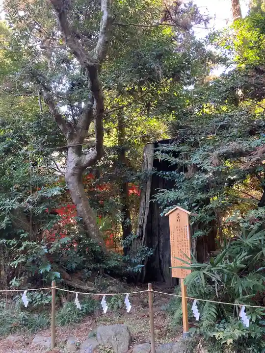 香取神宮(千葉県)