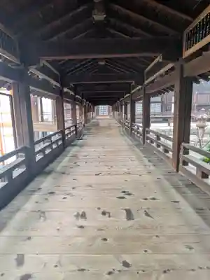 知恩院(京都府)