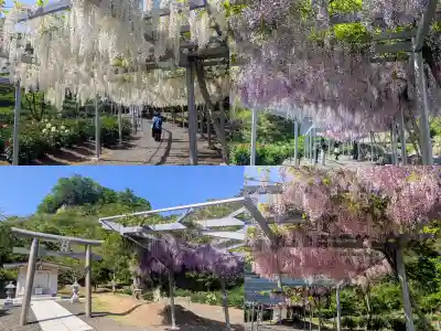 金蛇水神社(宮城県)