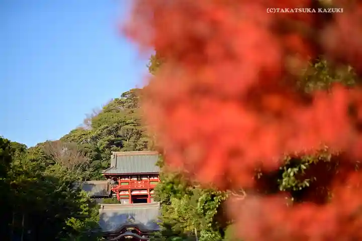 鶴岡八幡宮のその他建物