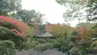 円通寺の庭園