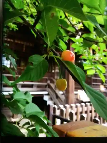 新宿下落合氷川神社(東京都)
