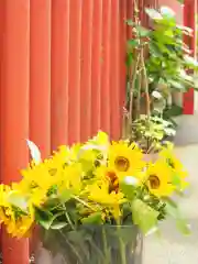 川越八幡宮の建物その他