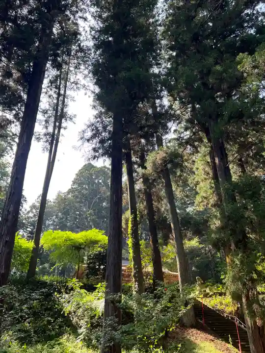 大宮温泉神社(栃木県)
