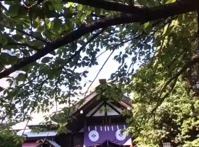 東京大神宮(東京都)