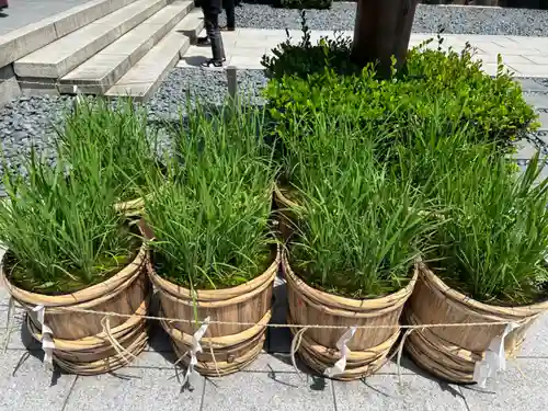 東京大神宮(東京都)