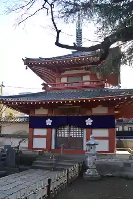 新井薬師（梅照院）(東京都)