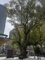 難波神社の{uncategorized: "未分類", other: "その他", undefined: "問題あり", building: "その他建物", grave: "お墓", sacred_gate: "鳥居", guardian: "狛犬", statue: "像", buddha: "仏像", history: "歴史", nature: "自然", garden: "庭園", animal: "動物", pagoda: "塔", temizu: "手水舎", mountain_gate: "山門・神門", sanctuary: "本殿・本堂", subordinate: "末社・摂社", art: "芸術", scenery: "景色", jizo: "地蔵", ema: "絵馬", goshuin: "御朱印", omikuji: "おみくじ", items: "授与品その他", amulet: "お守り", goshuincho: "御朱印帳", eats: "食事", festival: "お祭り", votive_dance: "神楽", shichigosan: "七五三参", wedding: "結婚式", experience: "体験その他", initially: "初詣", around: "周辺", anti_infection: "感染症対策"}