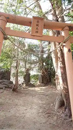 開運招福 飯玉神社の鳥居