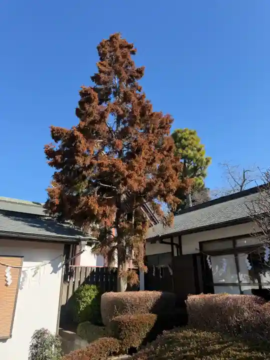 杉山神社の{uncategorized: "未分類", other: "その他", undefined: "問題あり", building: "その他建物", grave: "お墓", sacred_gate: "鳥居", guardian: "狛犬", statue: "像", buddha: "仏像", history: "歴史", nature: "自然", garden: "庭園", animal: "動物", pagoda: "塔", temizu: "手水舎", mountain_gate: "山門・神門", sanctuary: "本殿・本堂", subordinate: "末社・摂社", art: "芸術", scenery: "景色", jizo: "地蔵", ema: "絵馬", goshuin: "御朱印", omikuji: "おみくじ", items: "授与品その他", amulet: "お守り", goshuincho: "御朱印帳", eats: "食事", festival: "お祭り", votive_dance: "神楽", shichigosan: "七五三参", wedding: "結婚式", experience: "体験その他", initially: "初詣", around: "周辺", anti_infection: "感染症対策"}