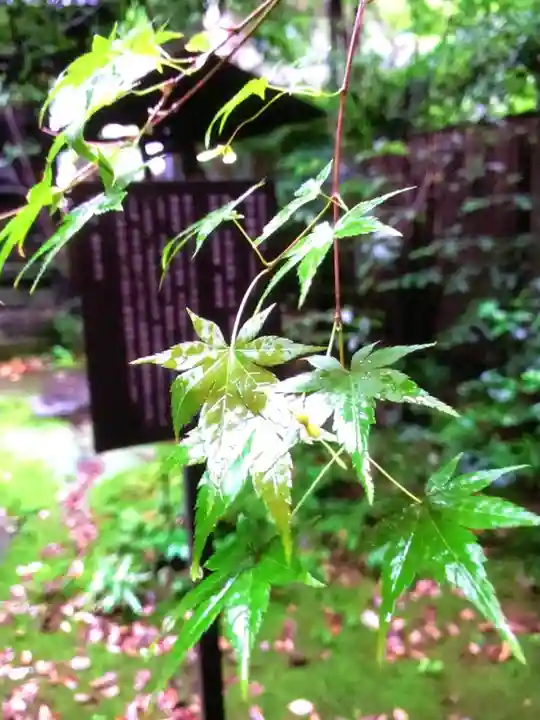 赤坂氷川神社(東京都)