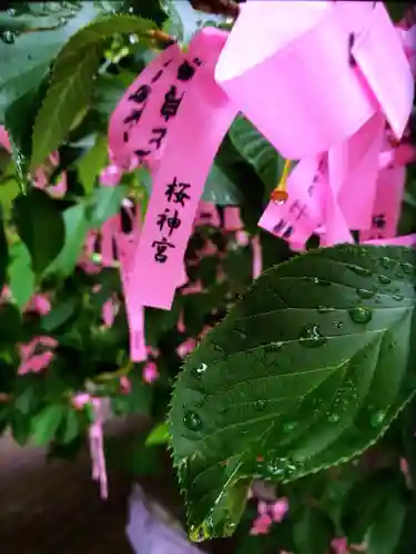 桜神宮(東京都)