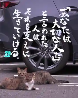 専念寺(大阪府)