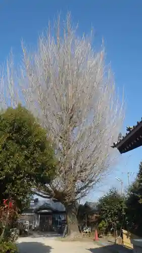 徳翁院(愛知県)