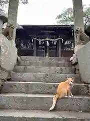 豊玉姫神社(香川県)