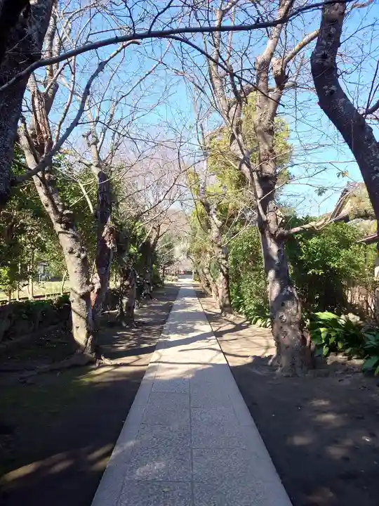 極楽寺(霊鷲山感應院極楽律寺)の景色