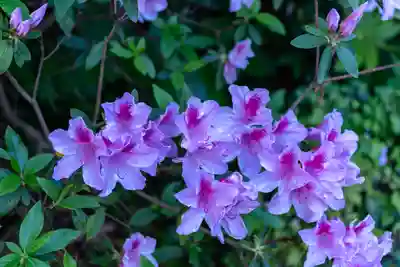 濱田護國神社(島根県)