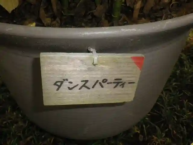 長谷寺のその他建物