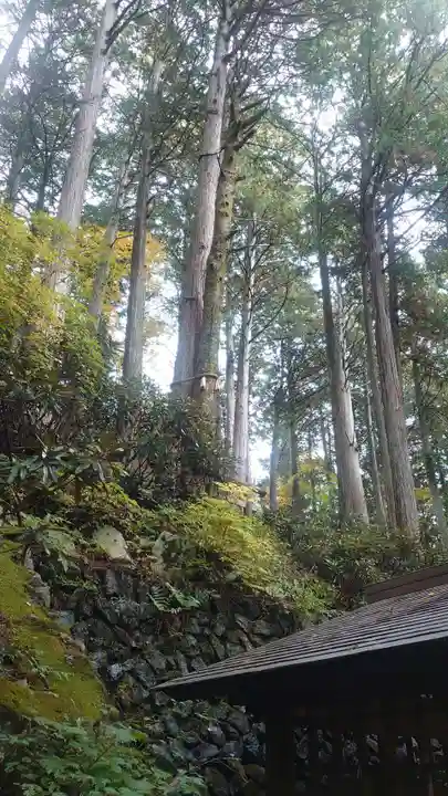 三峯神社(埼玉県)