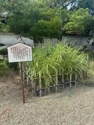 無量寿寺(愛知県)