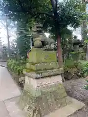 中野氷川神社の狛犬