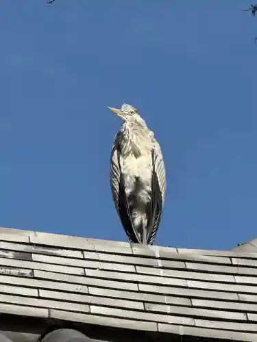 浄光明寺(神奈川県)