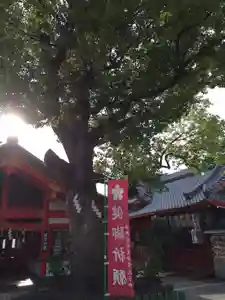 足の神様 服部天神宮の本殿・本堂 2020年05月30日(土)〜(2020年05月21日(木) 18時57分28秒投稿)