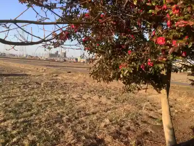 烏杜天神社（楽田天神）の自然