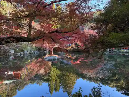 醍醐寺(京都府)