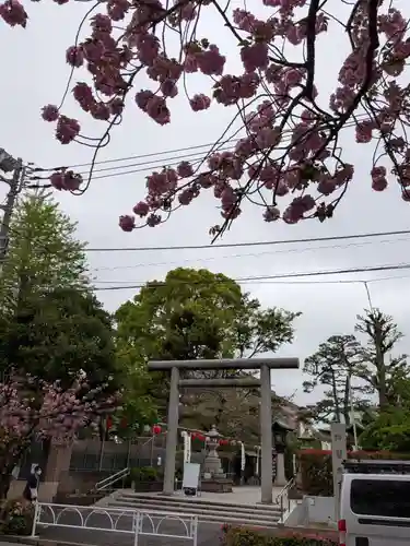 桜神宮(東京都)