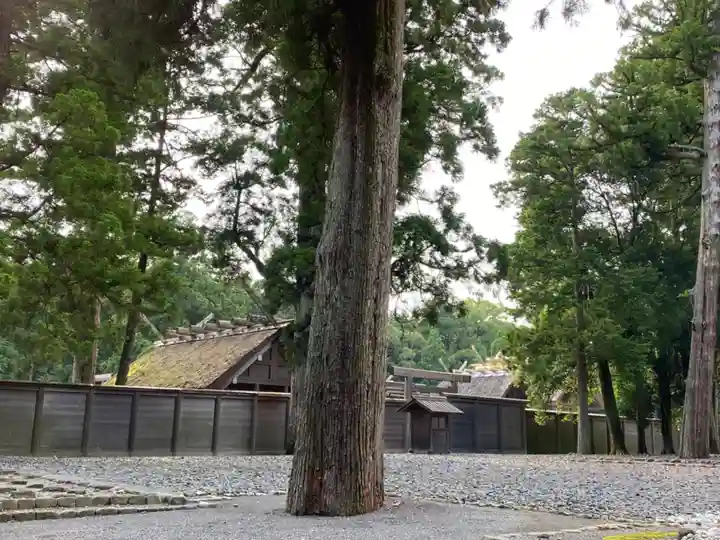伊勢神宮外宮(豊受大神宮)の自然