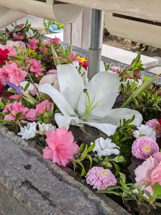 鳩森八幡神社(東京都)