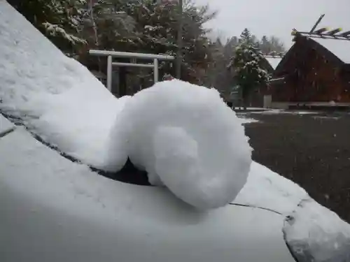 留辺蘂神社の自然
