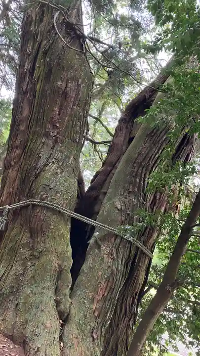 高岡神社(岡山県)