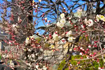 長泉寺(神奈川県)