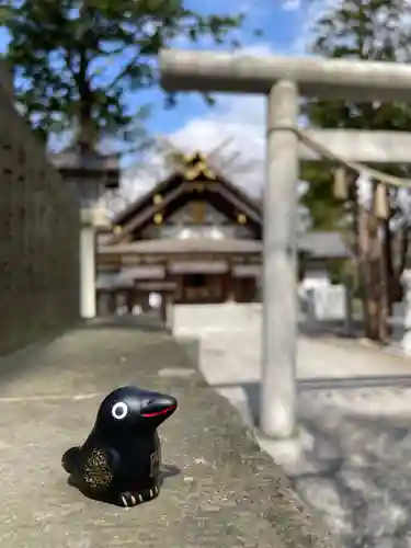 新琴似神社のおみくじ