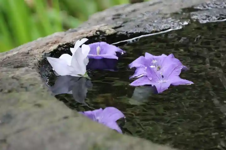 鹿島大神宮の手水舎