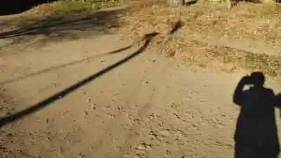 酒門神社(茨城県)