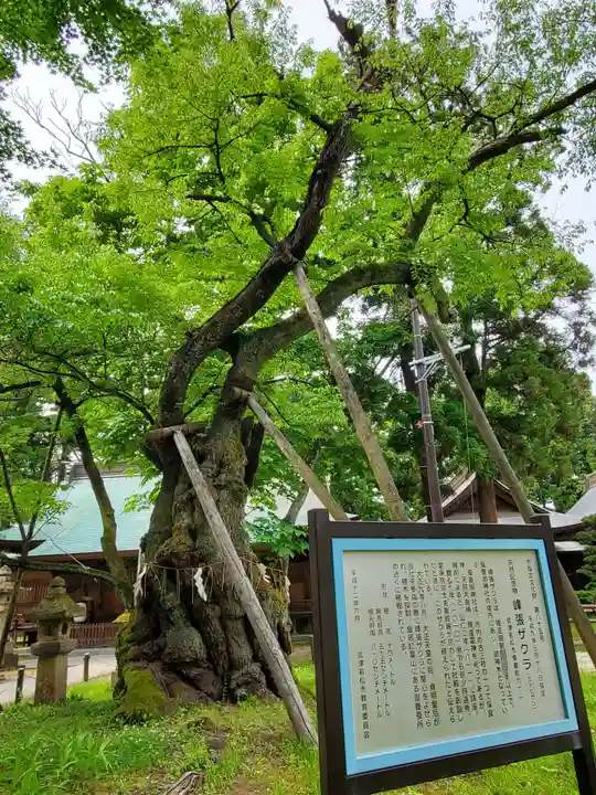 蠶養國神社(福島県)