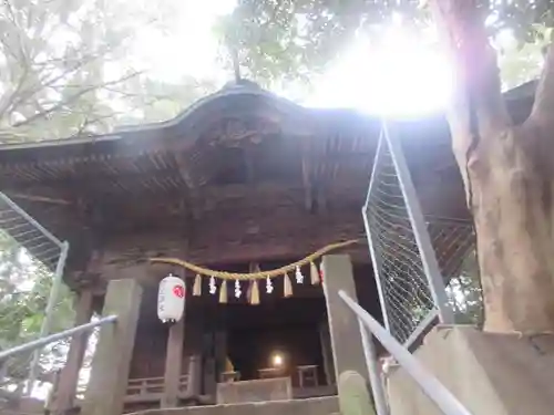 前玉神社(埼玉県)