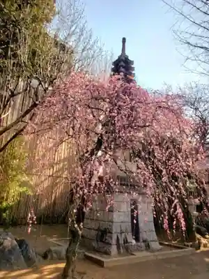 新井薬師（梅照院）(東京都)