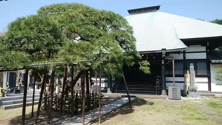 妙雲寺の本殿・本堂