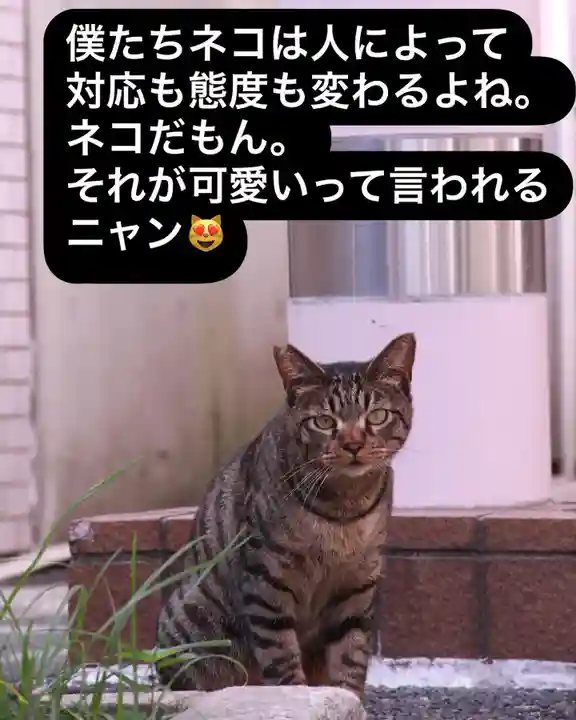 専念寺(大阪府)