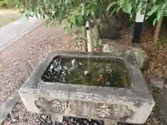 千代鶴神社(福井県)