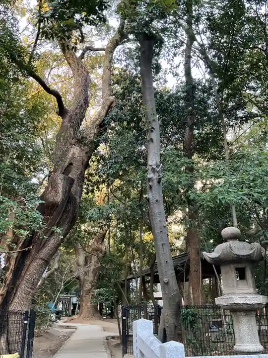 生田神社(兵庫県)
