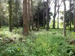 八幡神社の周辺