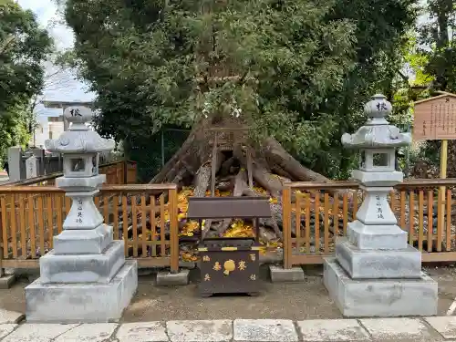 和泉國一之宮　大鳥大社の{uncategorized: "未分類", other: "その他", undefined: "問題あり", building: "その他建物", grave: "お墓", sacred_gate: "鳥居", guardian: "狛犬", statue: "像", buddha: "仏像", history: "歴史", nature: "自然", garden: "庭園", animal: "動物", pagoda: "塔", temizu: "手水舎", mountain_gate: "山門・神門", sanctuary: "本殿・本堂", subordinate: "末社・摂社", art: "芸術", scenery: "景色", jizo: "地蔵", ema: "絵馬", goshuin: "御朱印", omikuji: "おみくじ", items: "授与品その他", amulet: "お守り", goshuincho: "御朱印帳", eats: "食事", festival: "お祭り", votive_dance: "神楽", shichigosan: "七五三参", wedding: "結婚式", experience: "体験その他", initially: "初詣", around: "周辺", anti_infection: "感染症対策"}