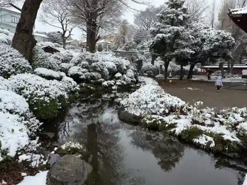 根津神社の{uncategorized: "未分類", other: "その他", undefined: "問題あり", building: "その他建物", grave: "お墓", sacred_gate: "鳥居", guardian: "狛犬", statue: "像", buddha: "仏像", history: "歴史", nature: "自然", garden: "庭園", animal: "動物", pagoda: "塔", temizu: "手水舎", mountain_gate: "山門・神門", sanctuary: "本殿・本堂", subordinate: "末社・摂社", art: "芸術", scenery: "景色", jizo: "地蔵", ema: "絵馬", goshuin: "御朱印", omikuji: "おみくじ", items: "授与品その他", amulet: "お守り", goshuincho: "御朱印帳", eats: "食事", festival: "お祭り", votive_dance: "神楽", shichigosan: "七五三参", wedding: "結婚式", experience: "体験その他", initially: "初詣", around: "周辺", anti_infection: "感染症対策"}