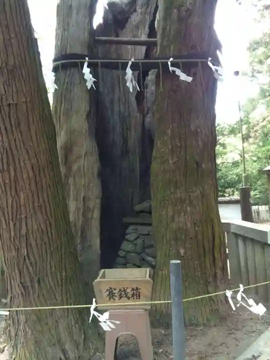 高倉神社(福岡県)
